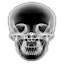 volrender
